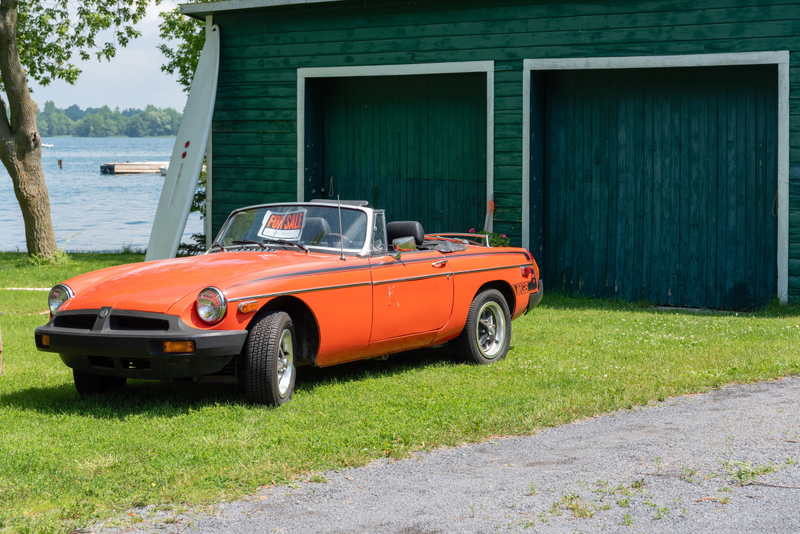 Illustration for article titled Pics from the Curbside: 2019-06-29 and 30 from Wolfe Island and Portsmouth Olympic Harbour